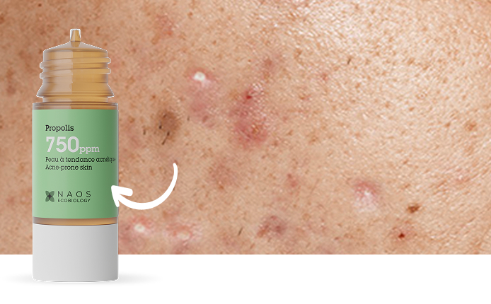 Propolis